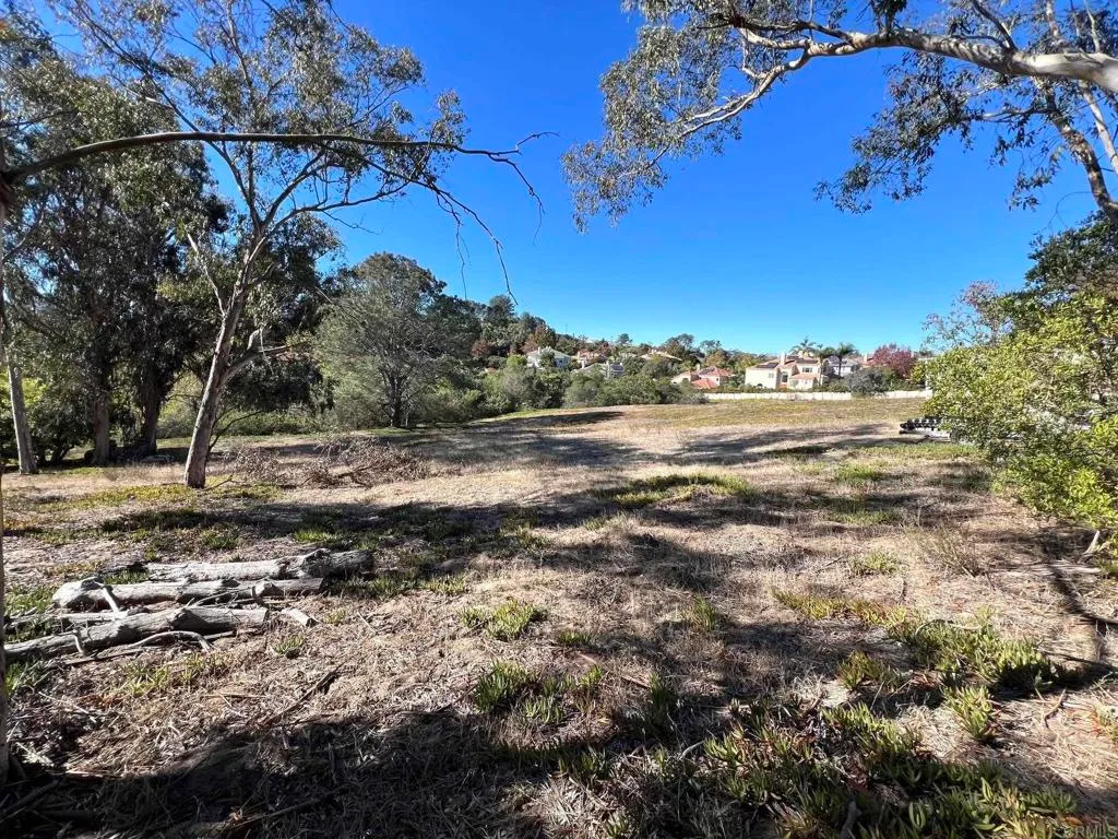 Mays Hollow Lane, Encinitas, CA 92024 photo 5