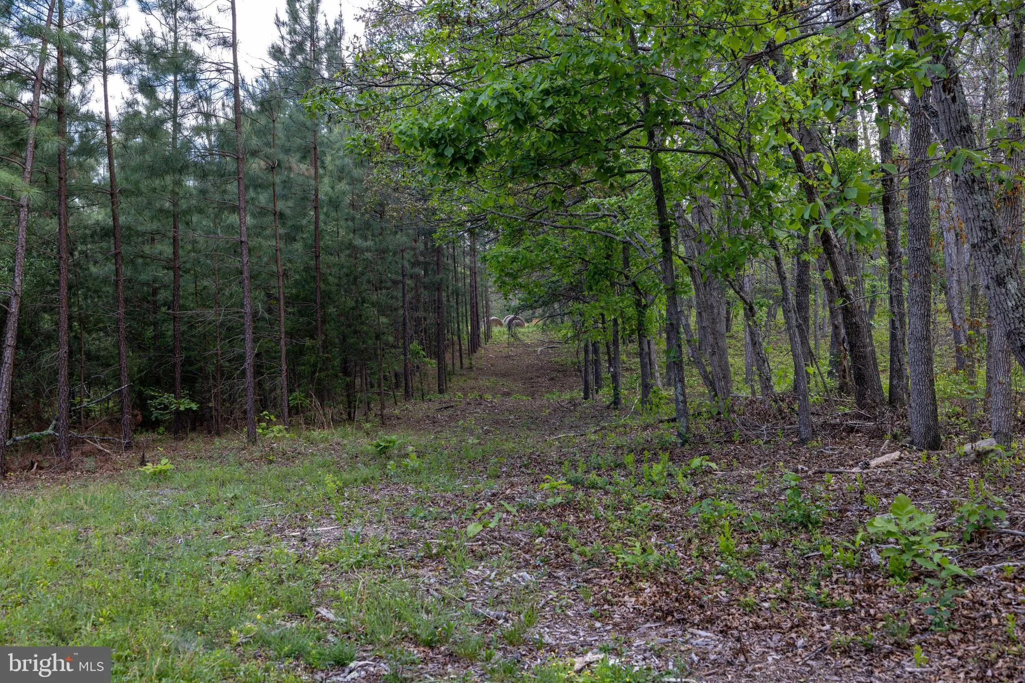 Additional image 73 of Boliver Road, Fort Valley, VA 22652