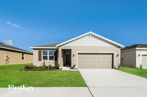 213 Windsor Reserve Drive, Bartow, FL, 33839 photo 5