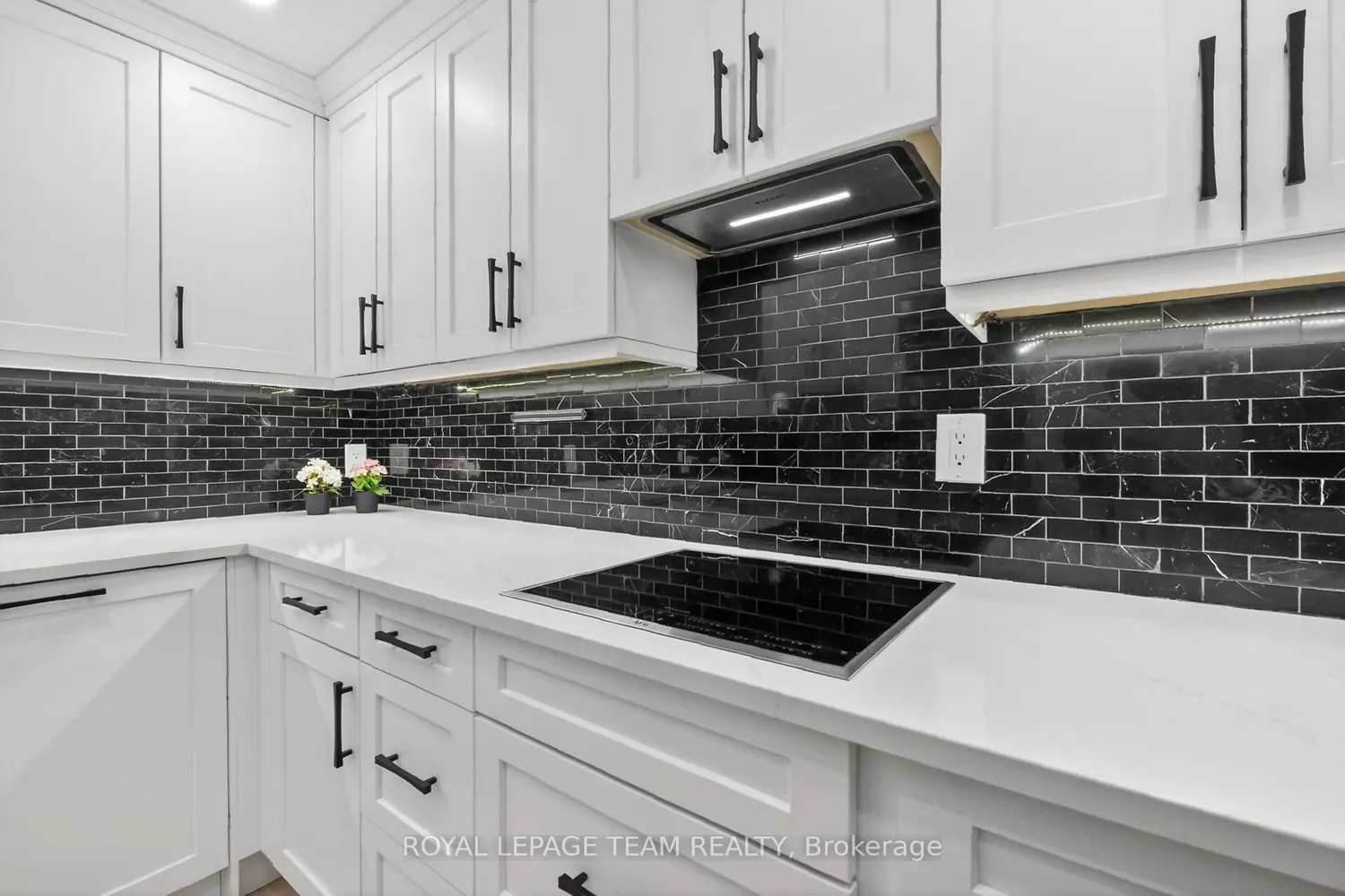 Additional image 4 of 515 St Laurent Boulevard 2012