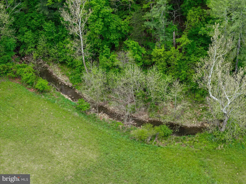 Additional image 71 of 2645 Dry Run Road, Luray, VA 22835