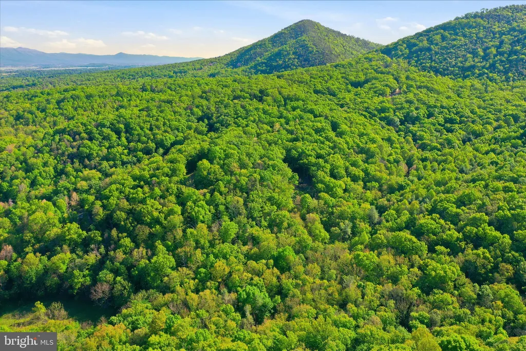Additional image 14 of Lot 57 Park View Lane, Shenandoah, VA 22849