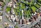 Additional image 2 of Berrow Road, Burnham-on-Sea, Somerset, TA8