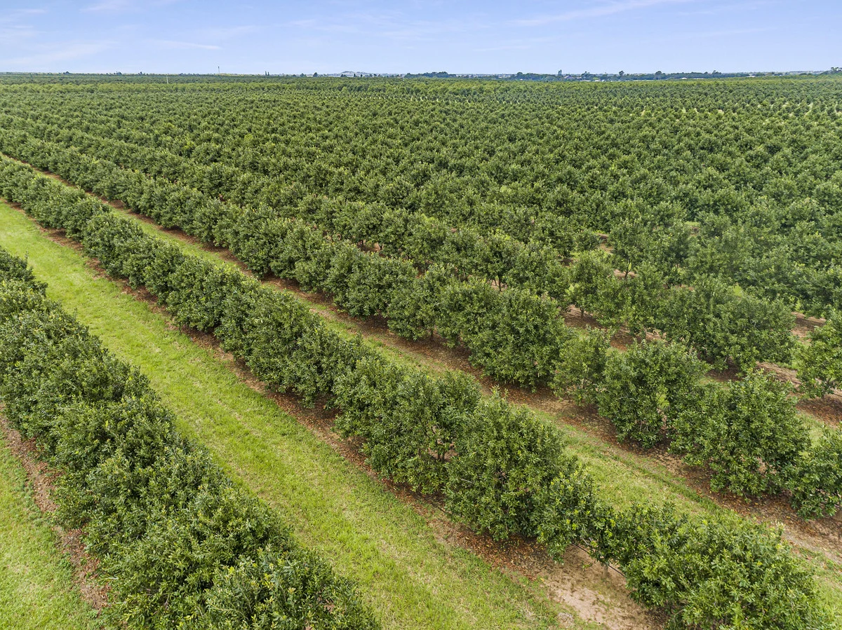 Additional image 23 of Meadowvale QLD 4670