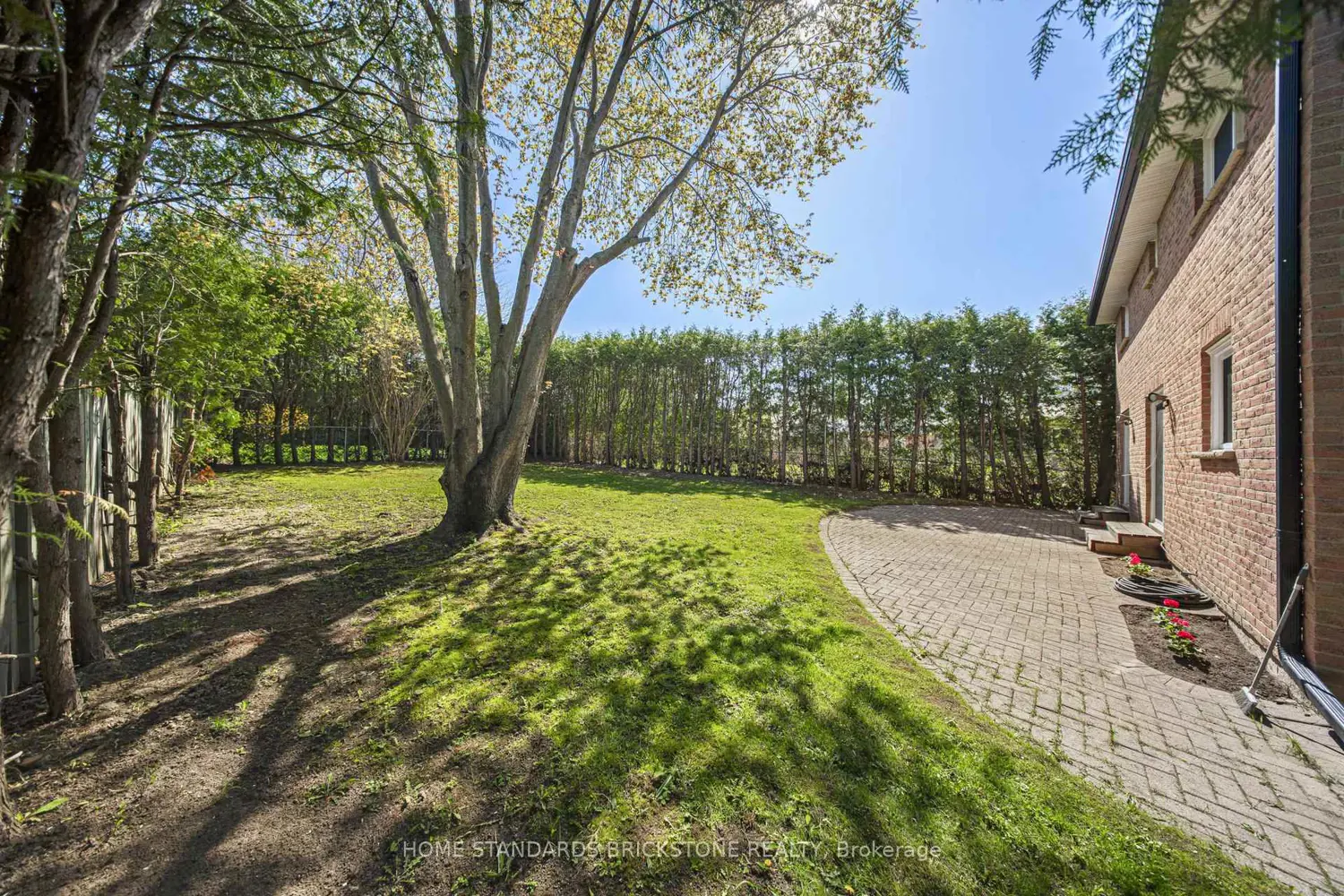 Additional image 20 of 460 Aspen Forest Drive