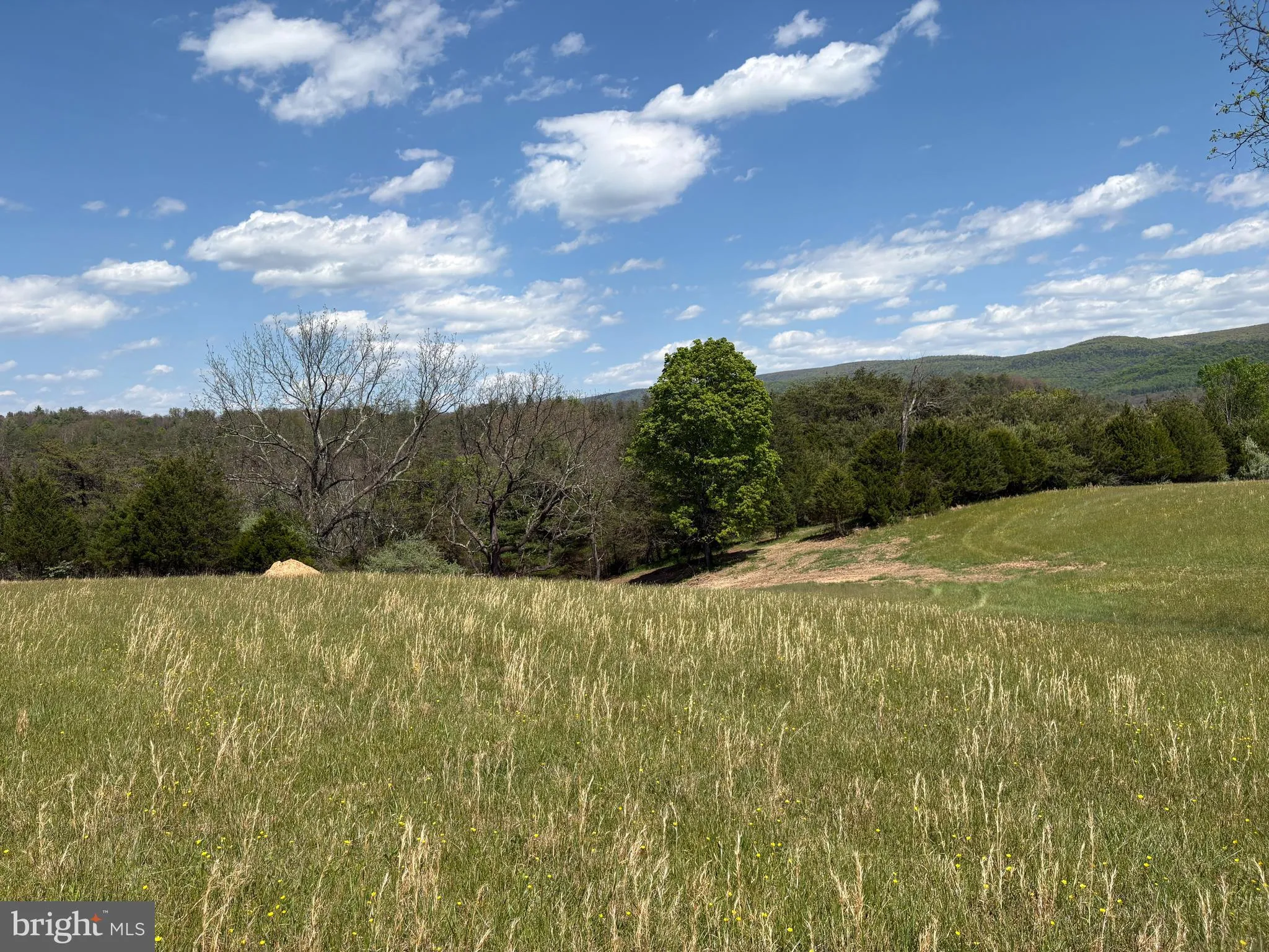 Additional image 59 of 8.25 AC Walnut Tree Lane, Paw Paw, WV 25434