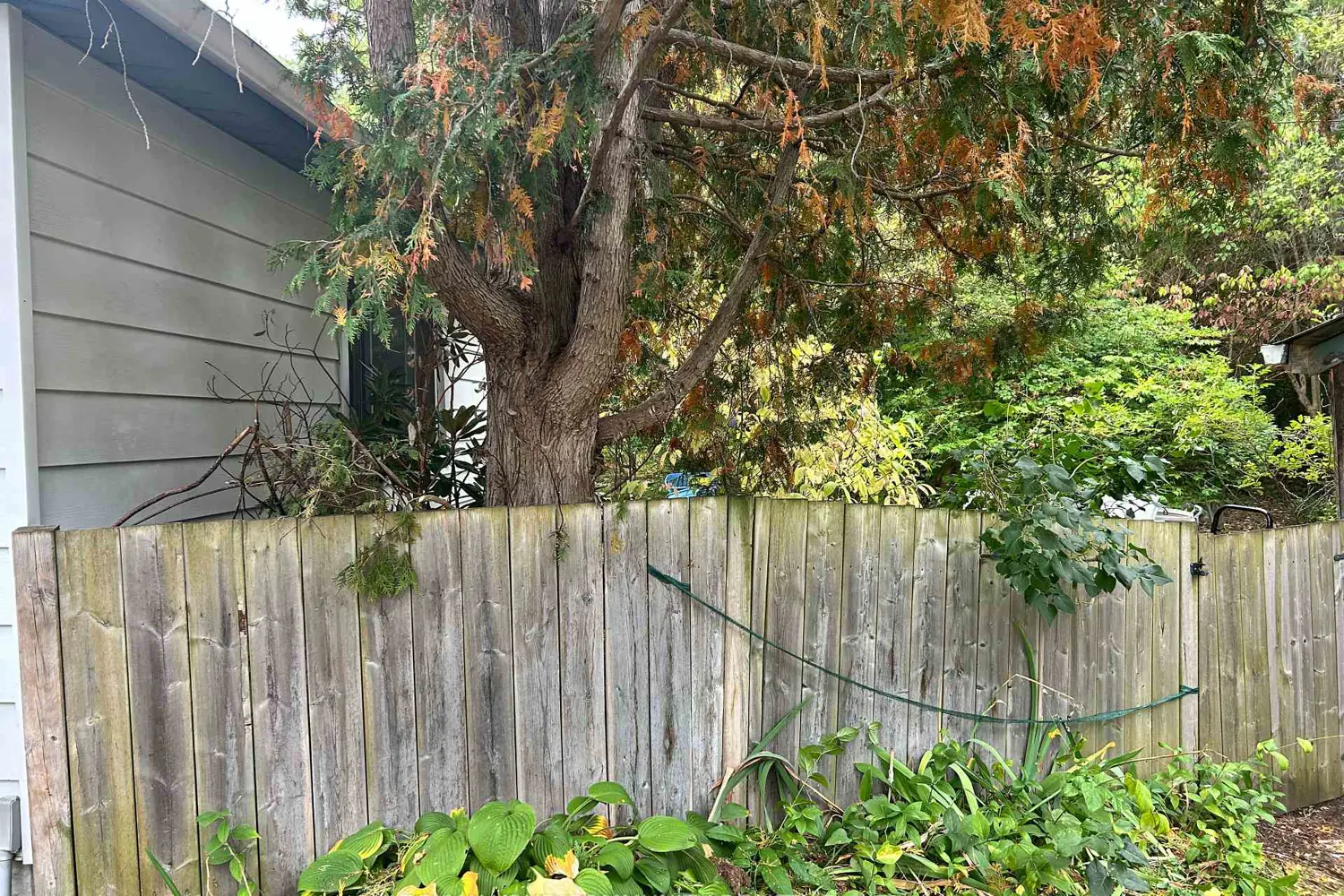 66 Bradford Street photo 2