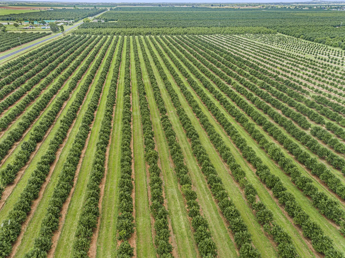 Additional image 4 of Meadowvale QLD 4670