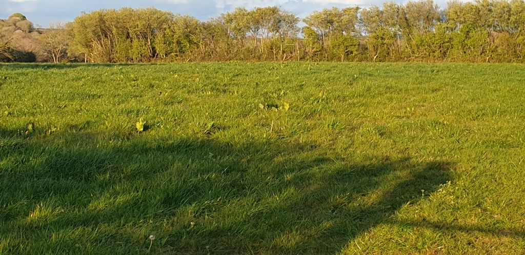 Land for saleChilsworthy/ Holsworthy, Devon EX22 photo 2