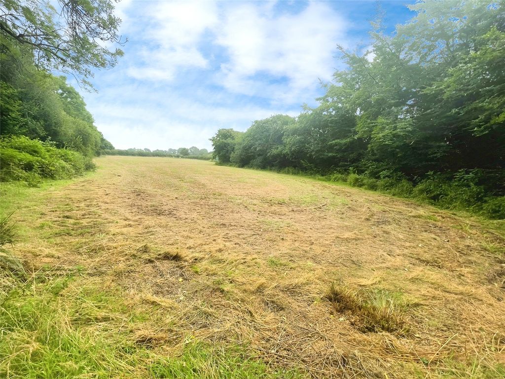 Land for saleDerril, Pyworthy, Holsworthy EX22 photo 2