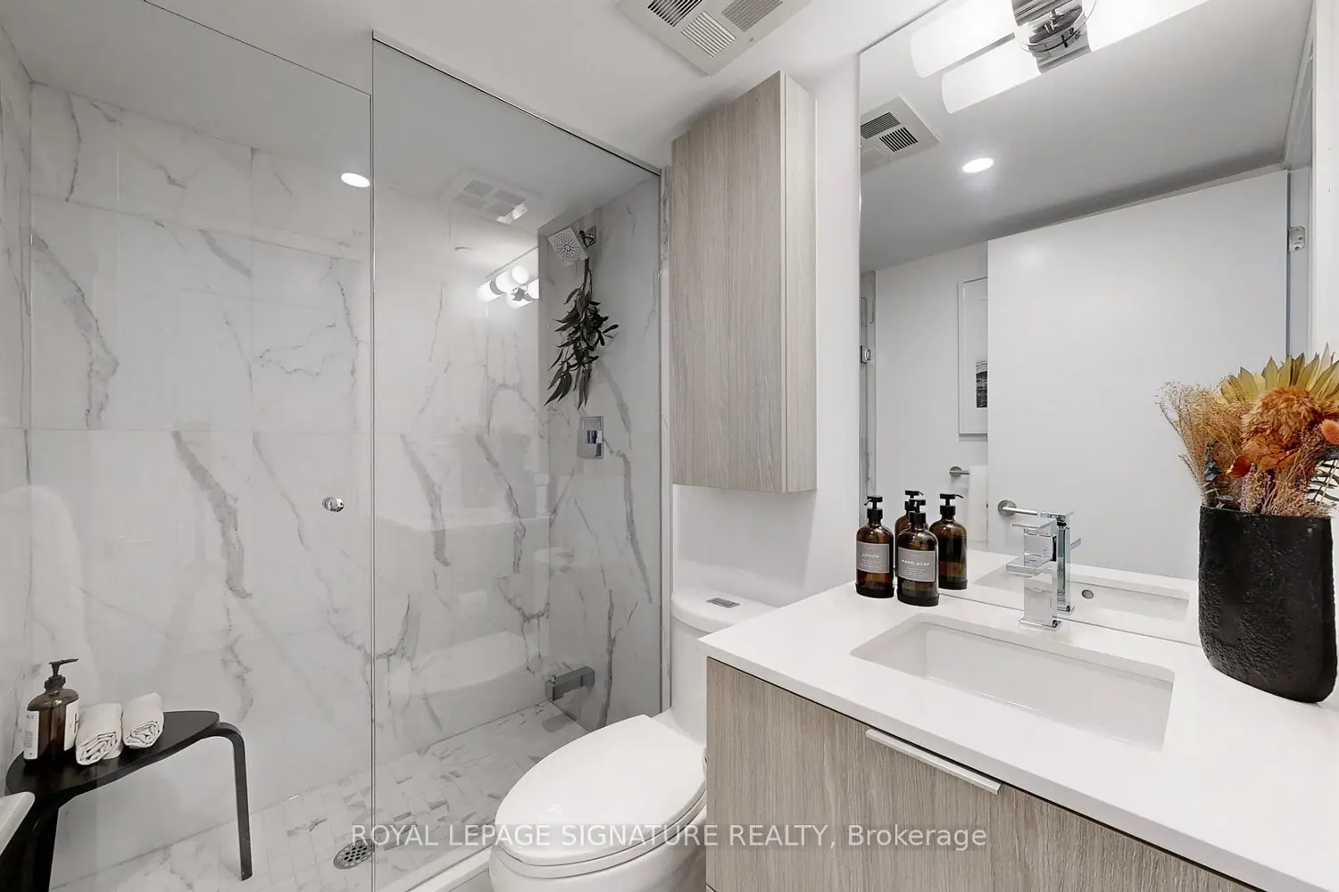 81 Shuter Street photo 3