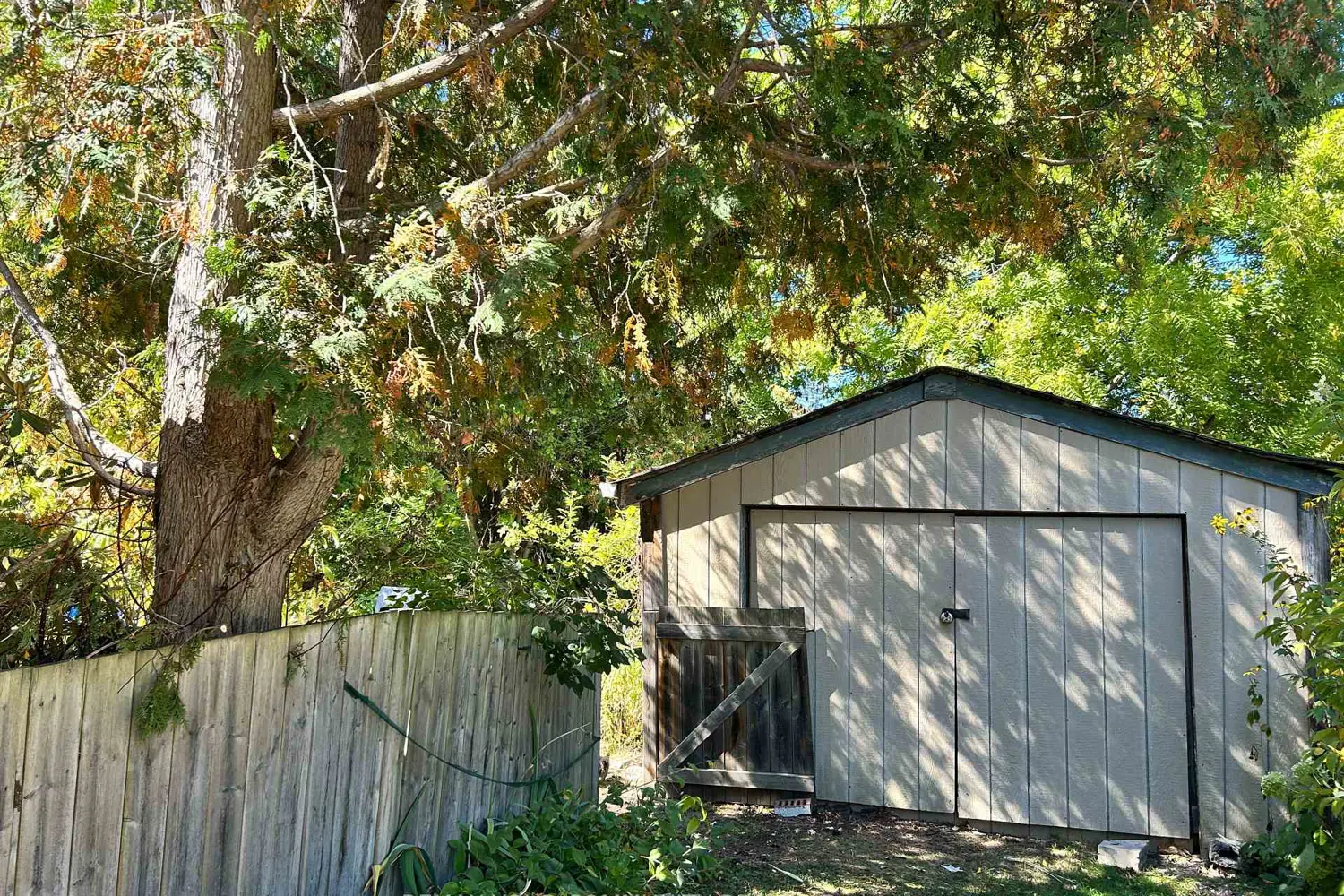 66 Bradford Street photo 3
