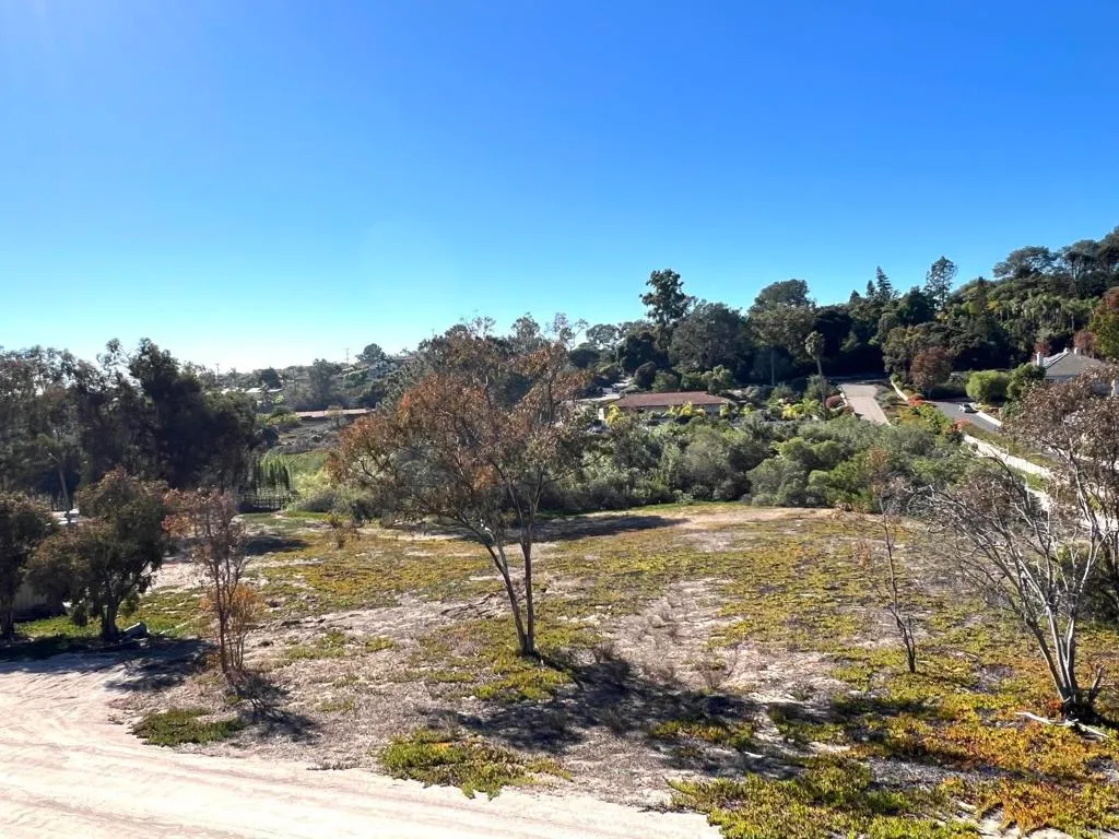 Mays Hollow Lane, Encinitas, CA 92024 photo 4