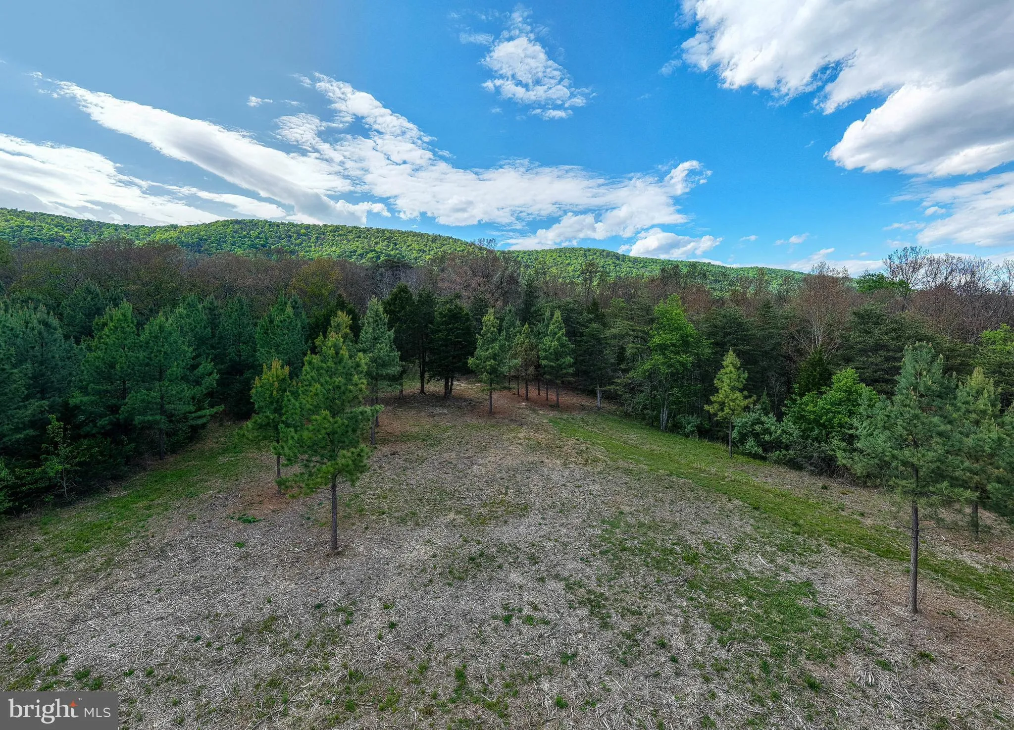 Additional image 53 of Boliver Road, Fort Valley, VA 22652