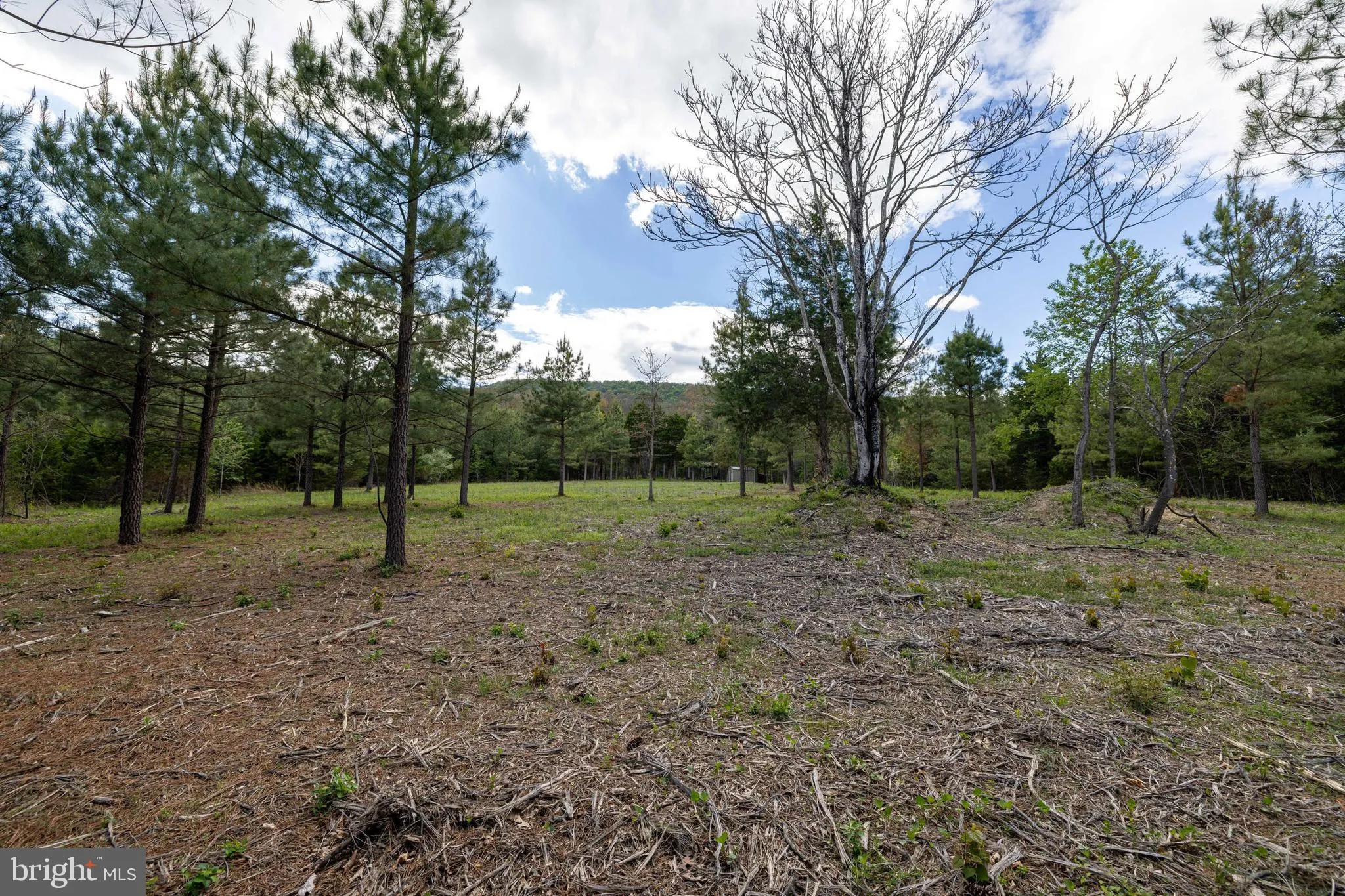 Additional image 67 of Boliver Road, Fort Valley, VA 22652