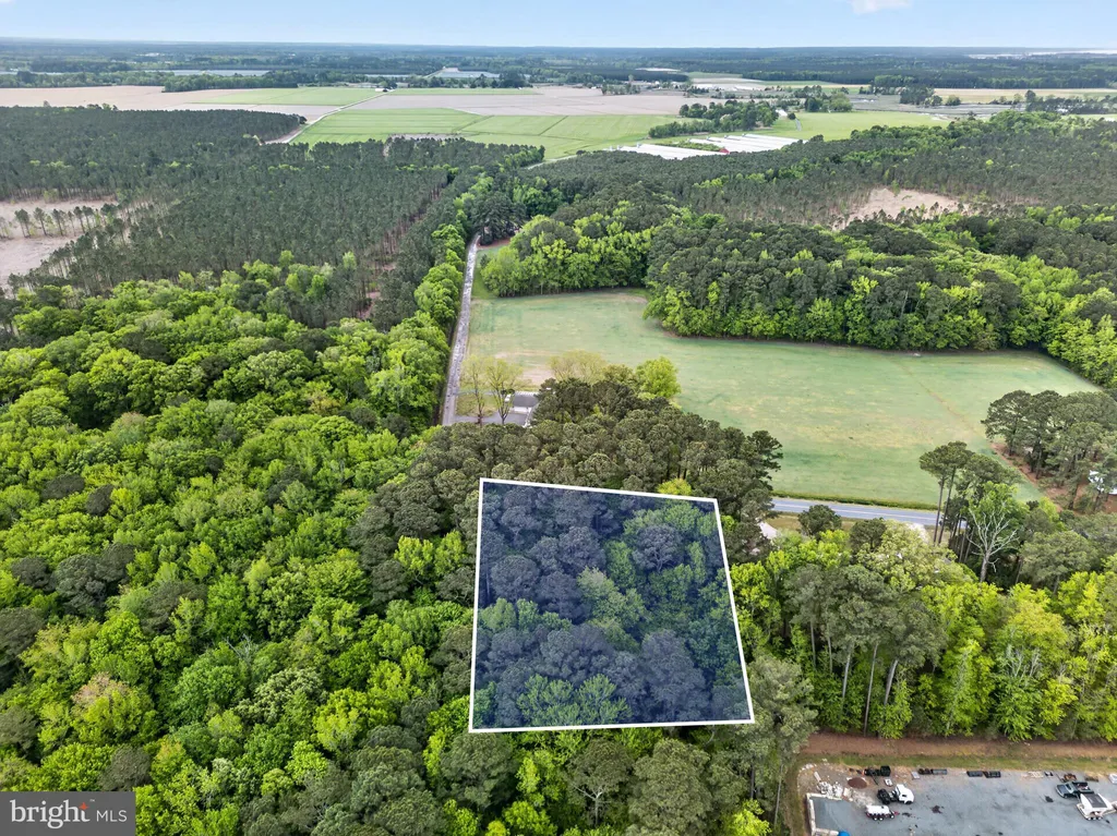 Additional image 15 of Parcel 40 Revells Neck Road, Westover, MD 21871