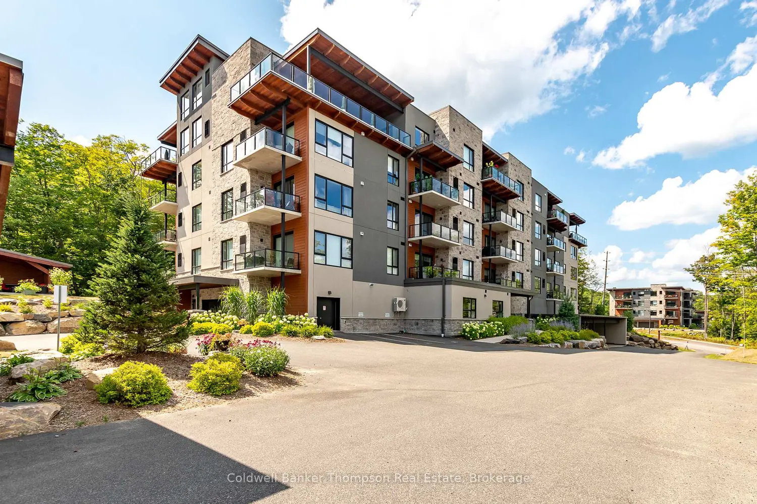 18 Campus Trail 207