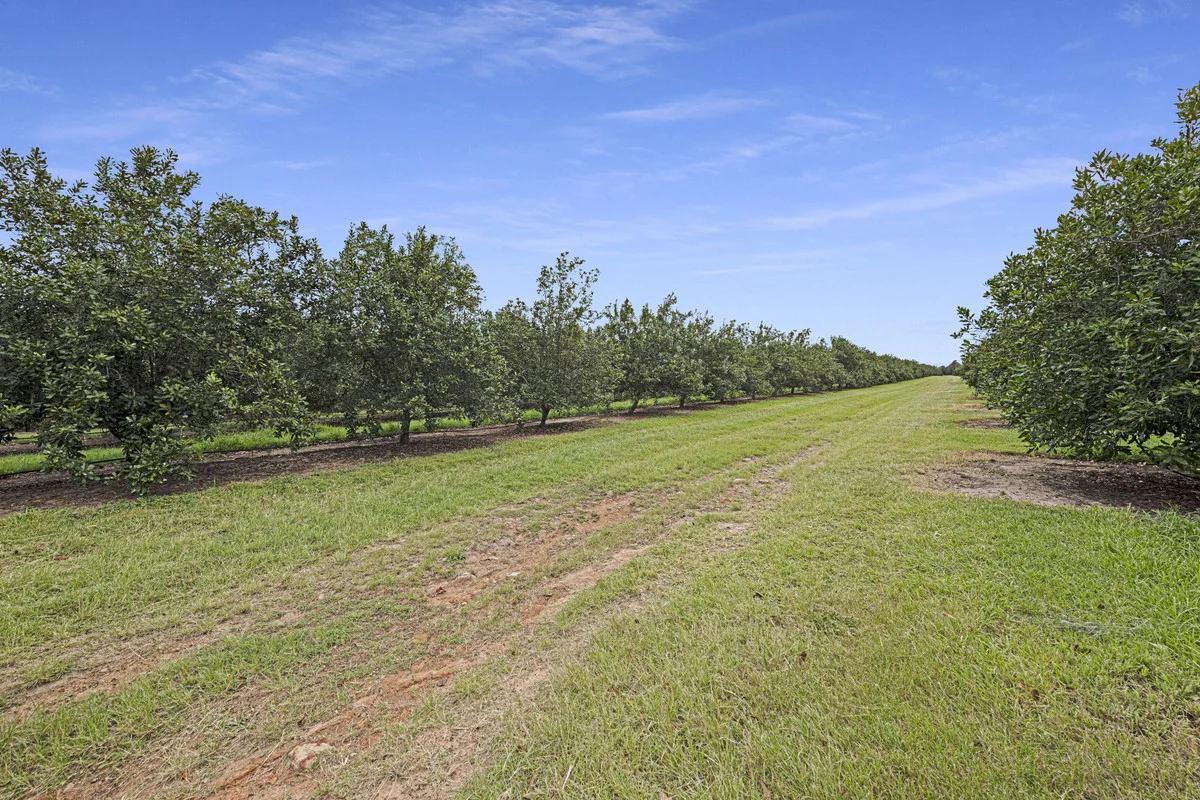 Additional image 17 of Meadowvale QLD 4670