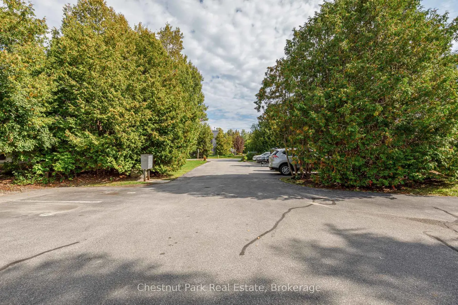12 Dawson Drive 407