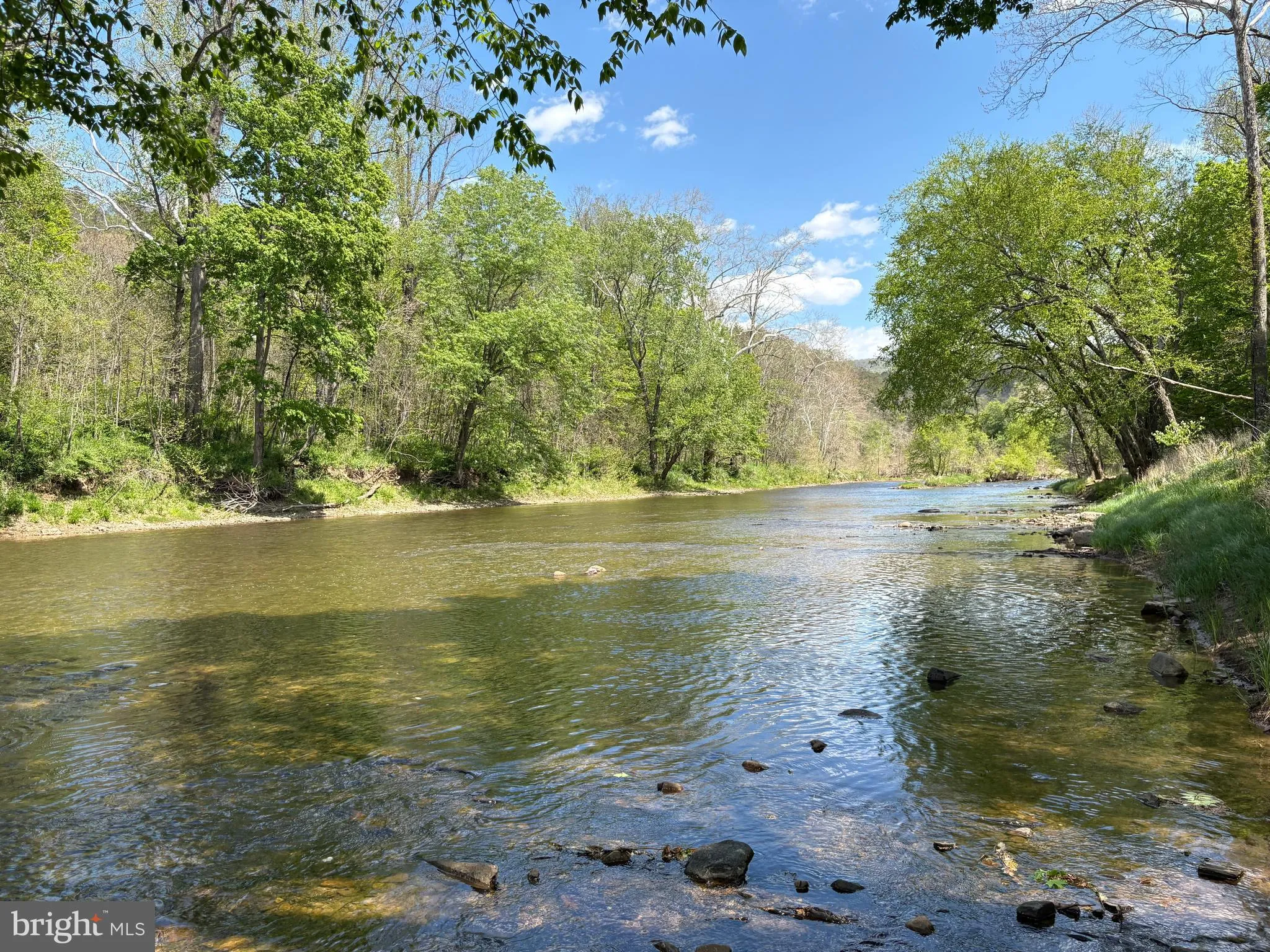 Additional image 50 of 8.25 AC Walnut Tree Lane, Paw Paw, WV 25434