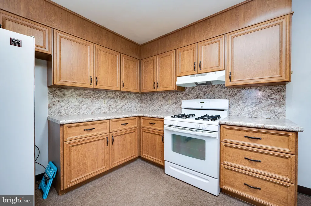 Additional image 15 of 220 Maple Springs Drive, Birdsboro, PA 19508