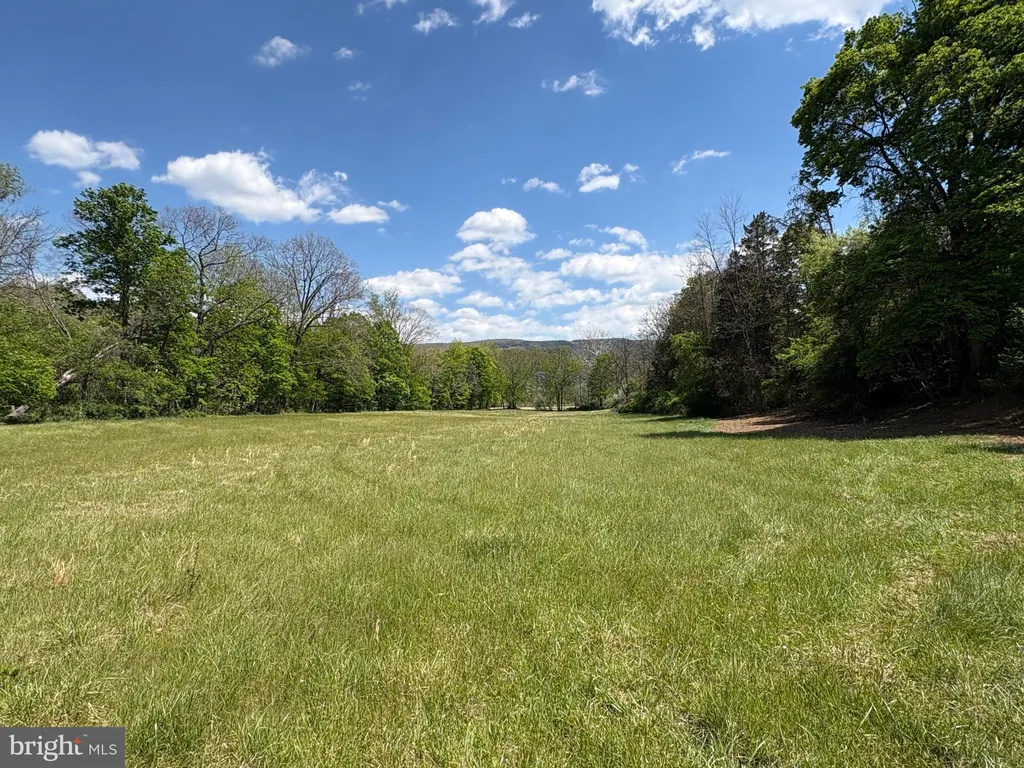 Additional image 21 of 8.25 AC Walnut Tree Lane, Paw Paw, WV 25434