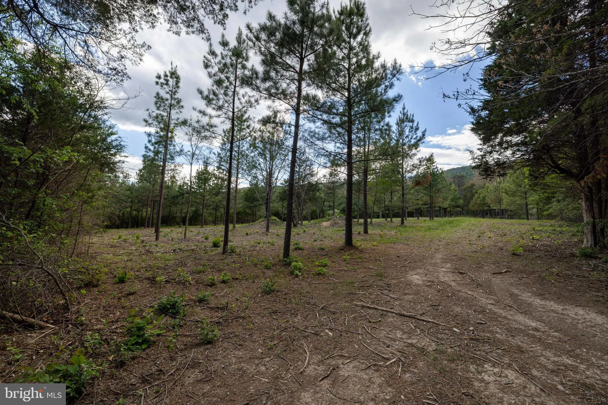 Additional image 66 of Boliver Road, Fort Valley, VA 22652