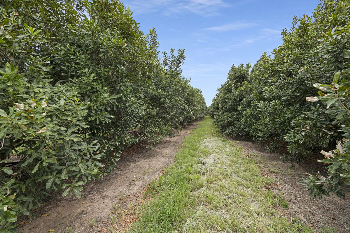 Additional image 8 of Meadowvale QLD 4670