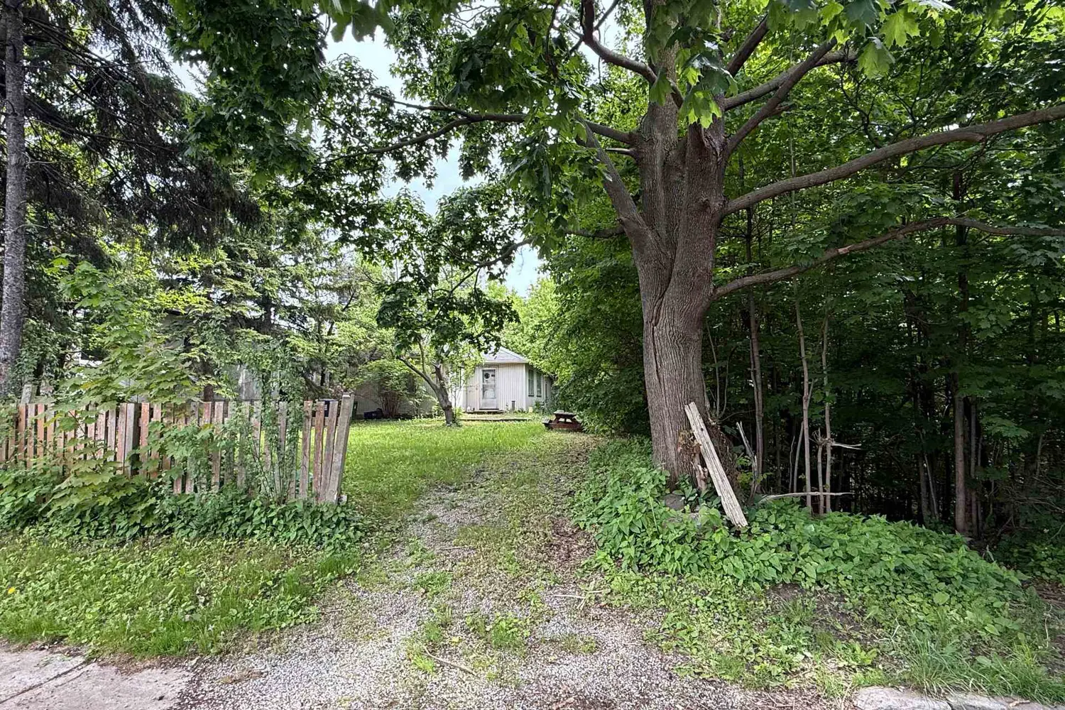 31 Maple Bush Avenue photo 3