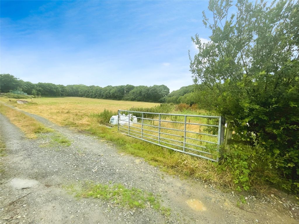 Land for saleDerril, Pyworthy, Holsworthy EX22 photo 5