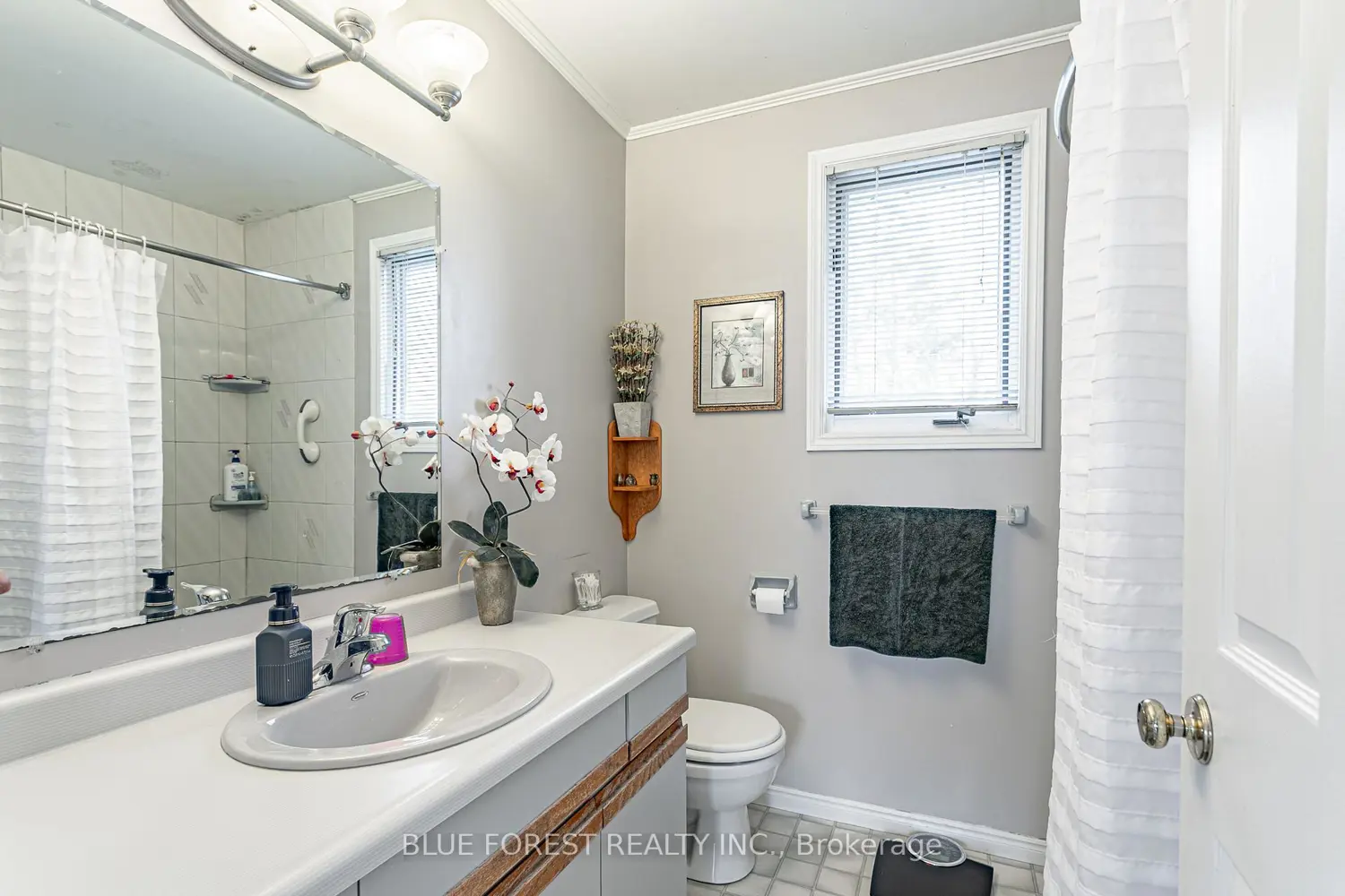 188 Scarlett Circle photo 4