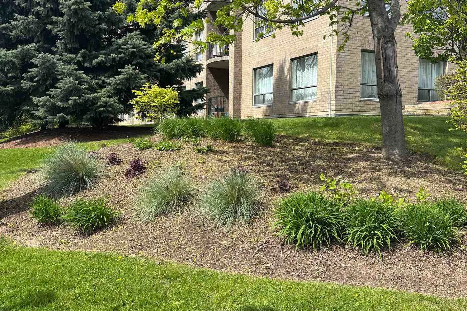 3497 Upper Middle Road 402 photo 2