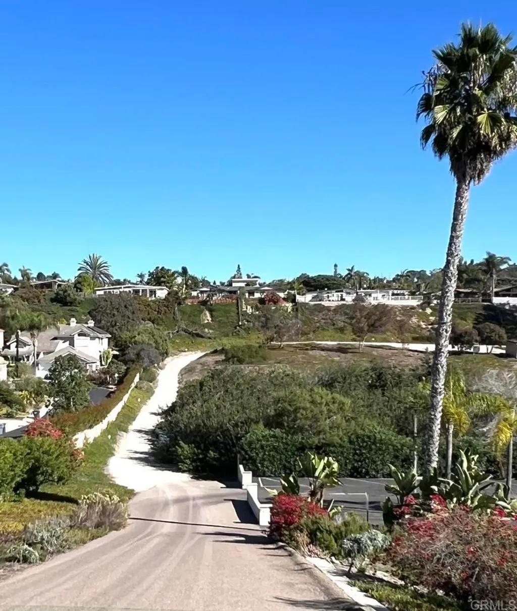 Mays Hollow Lane, Encinitas, CA 92024 photo 2