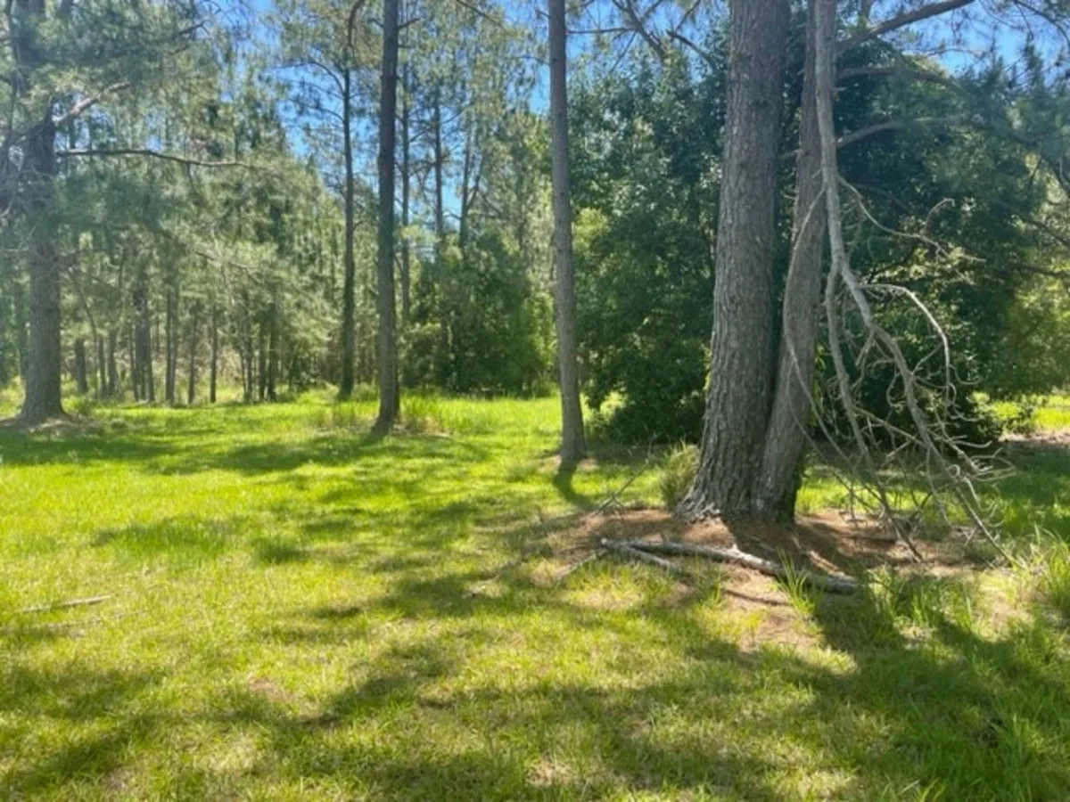 Woodford QLD 4514 photo 4