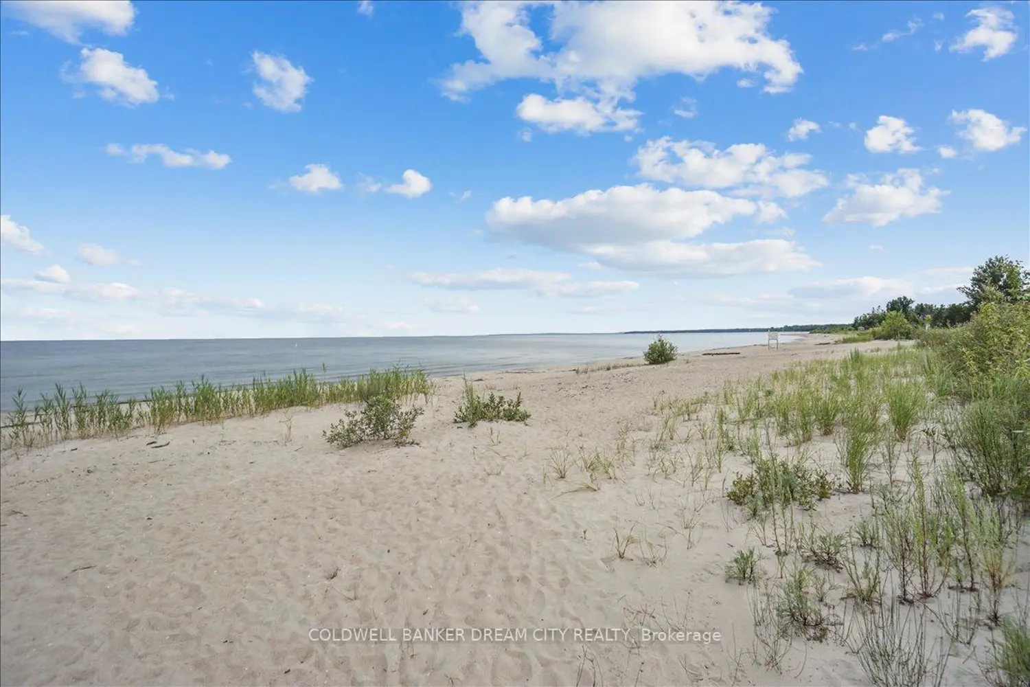 Additional image 10 of 764 River Road 111