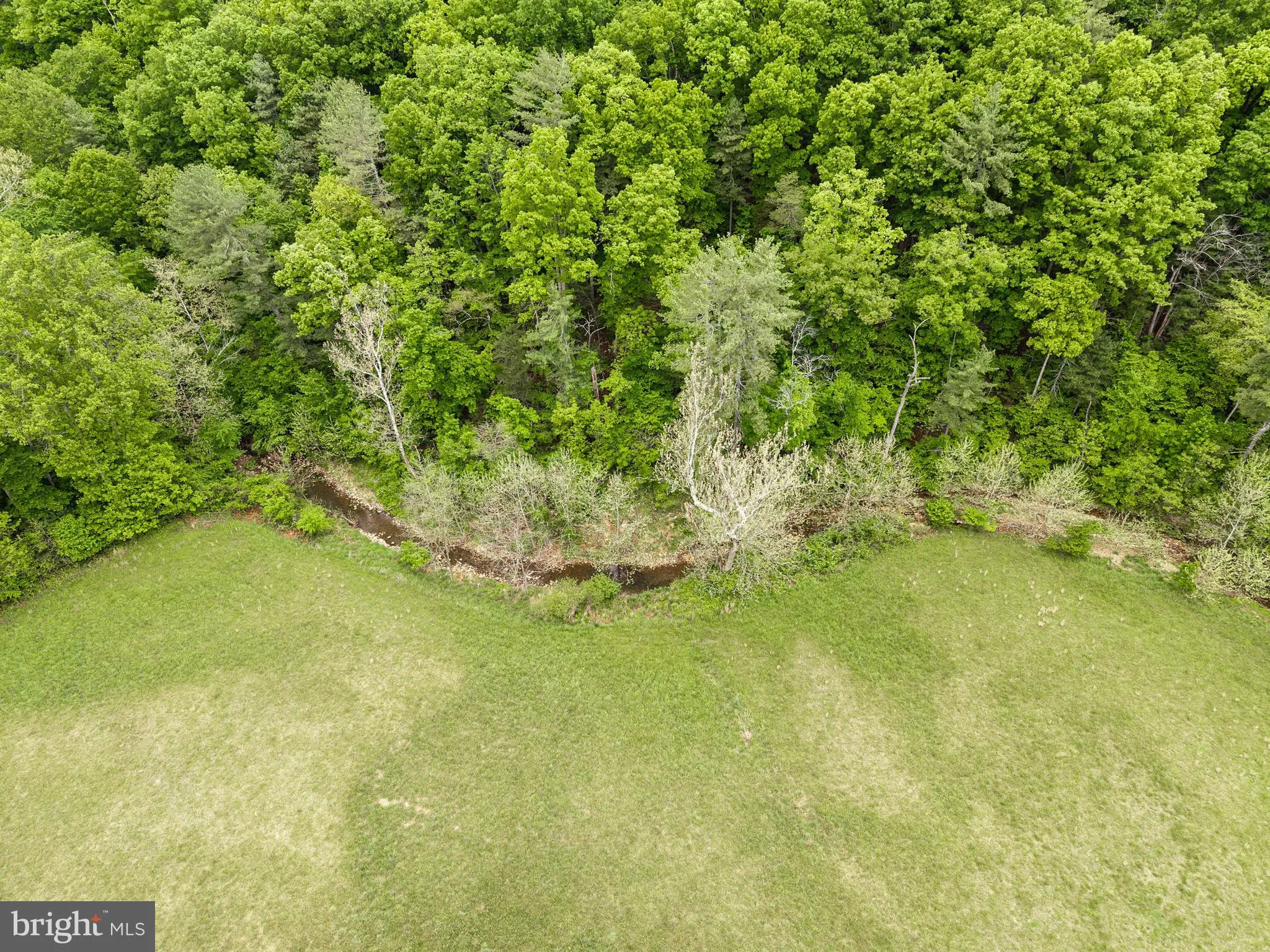 Additional image 151 of 2645 Dry Run Road, Luray, VA 22835