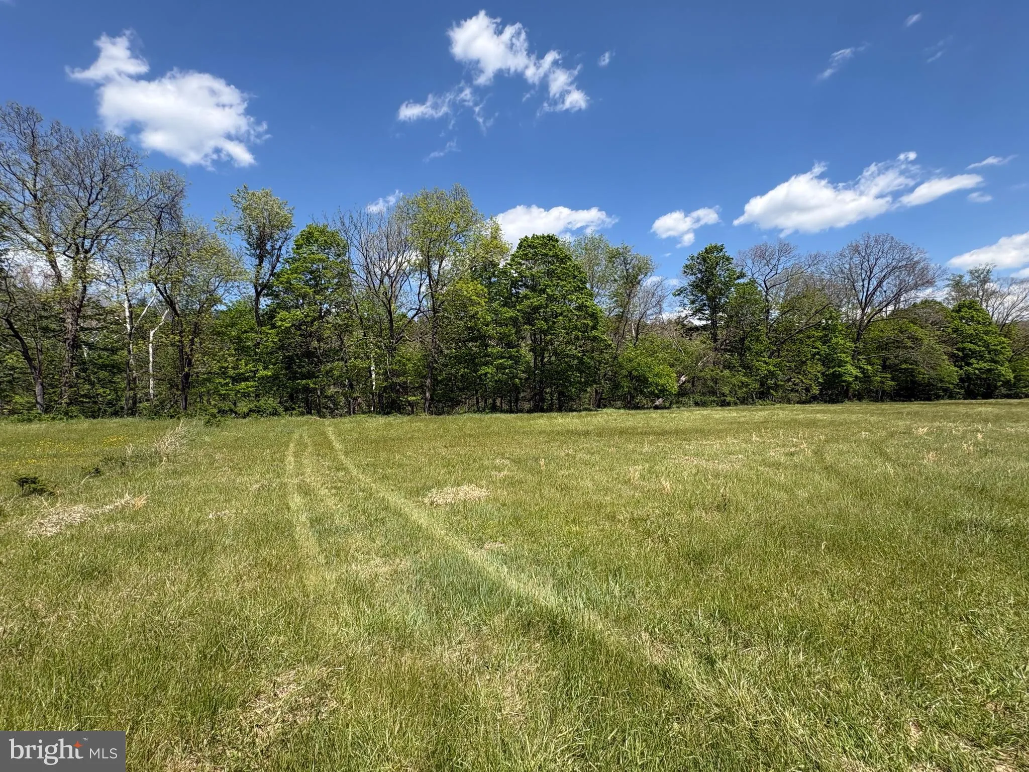 Additional image 63 of 8.25 AC Walnut Tree Lane, Paw Paw, WV 25434