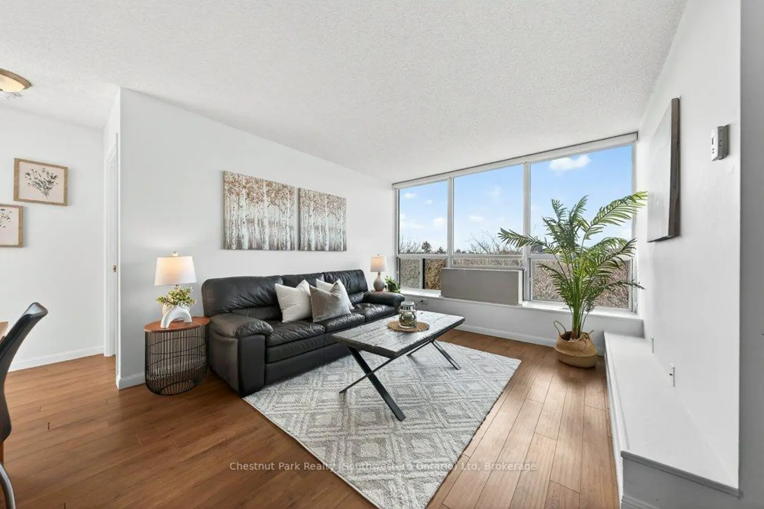 107 Bagot Street 501