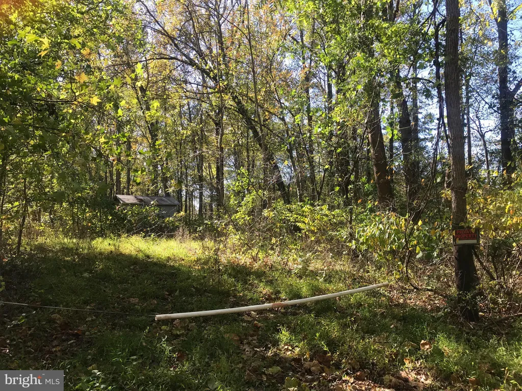 Additional image 2 of 8305 Telegraph Rd, Lorton, VA 22079