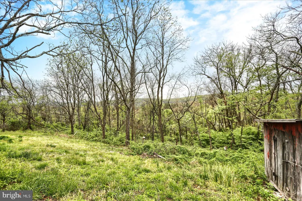 Additional image 43 of 4401 Middle Ridge Road, Newport, PA 17074