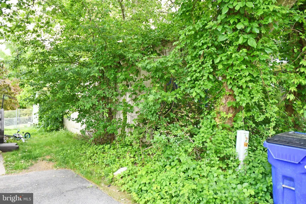26 No Name Street, Earleville, MD 21919