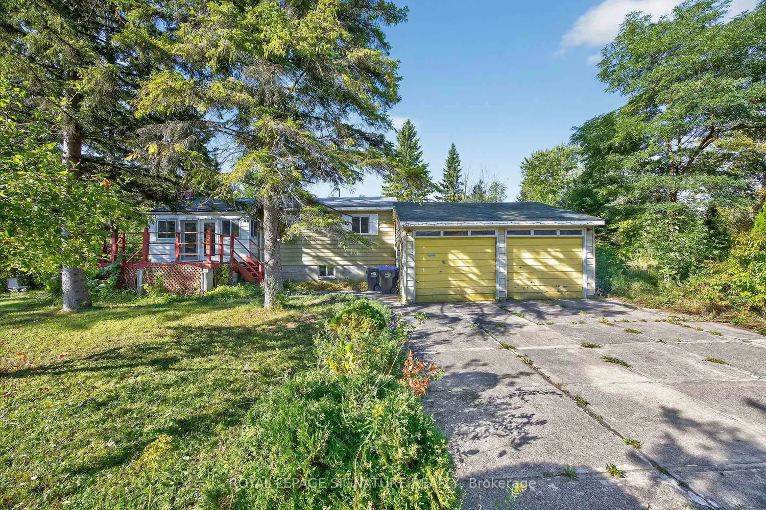 81-77 Bass Bay Drive photo 3