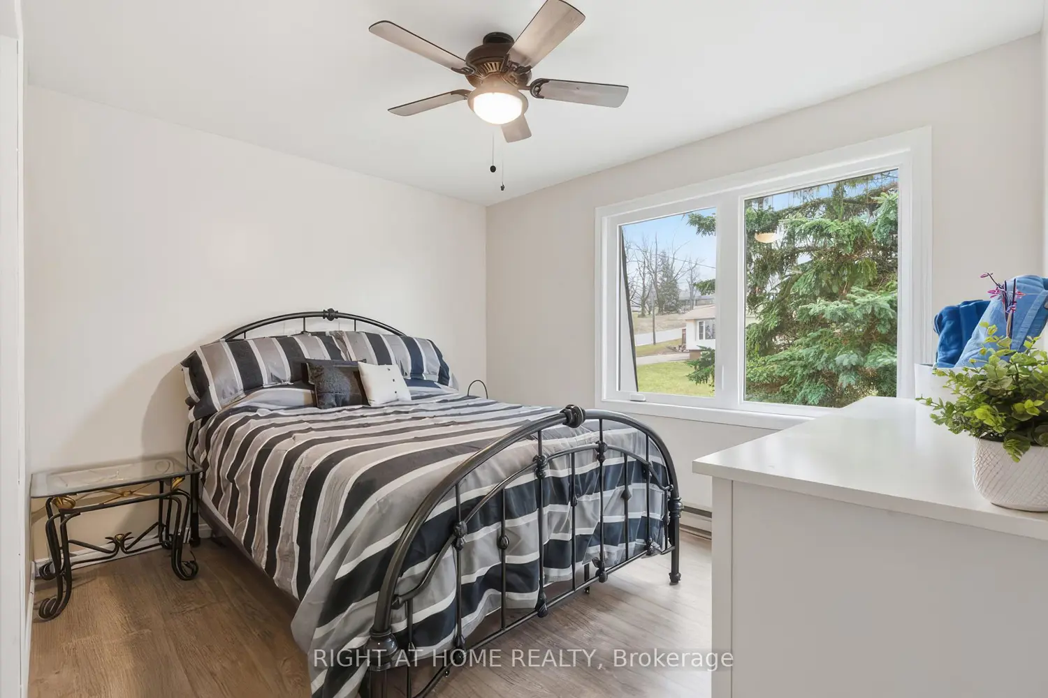 Additional image 12 of 384 Countess Street
