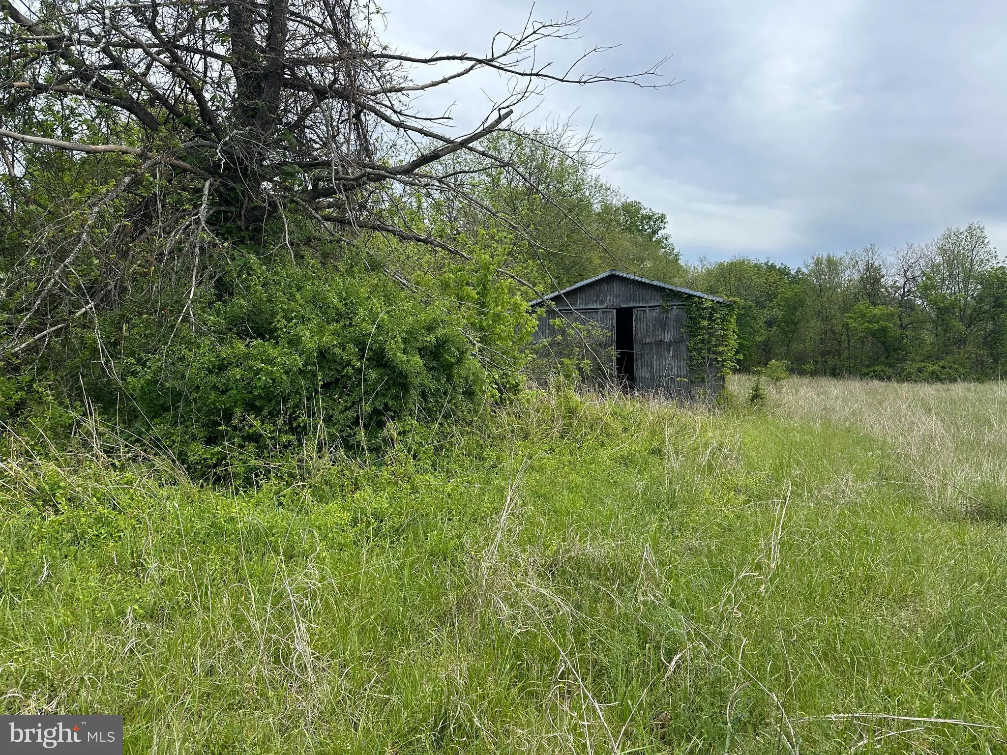 Additional image 6 of High Street, Strasburg, VA 22657
