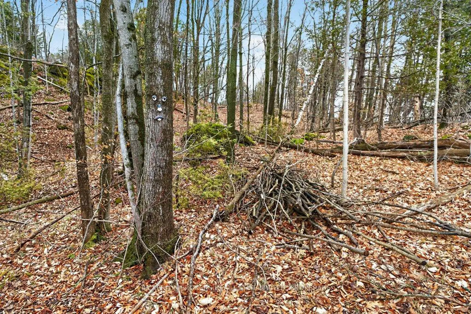 Additional image 13 of 224 Big Hill Road