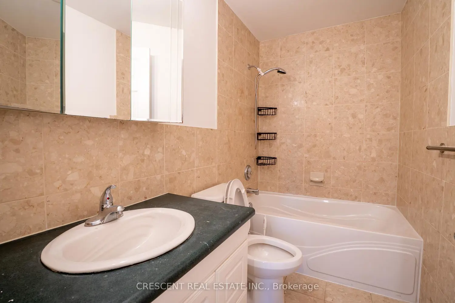 520 Prince Edward Drive photo 4