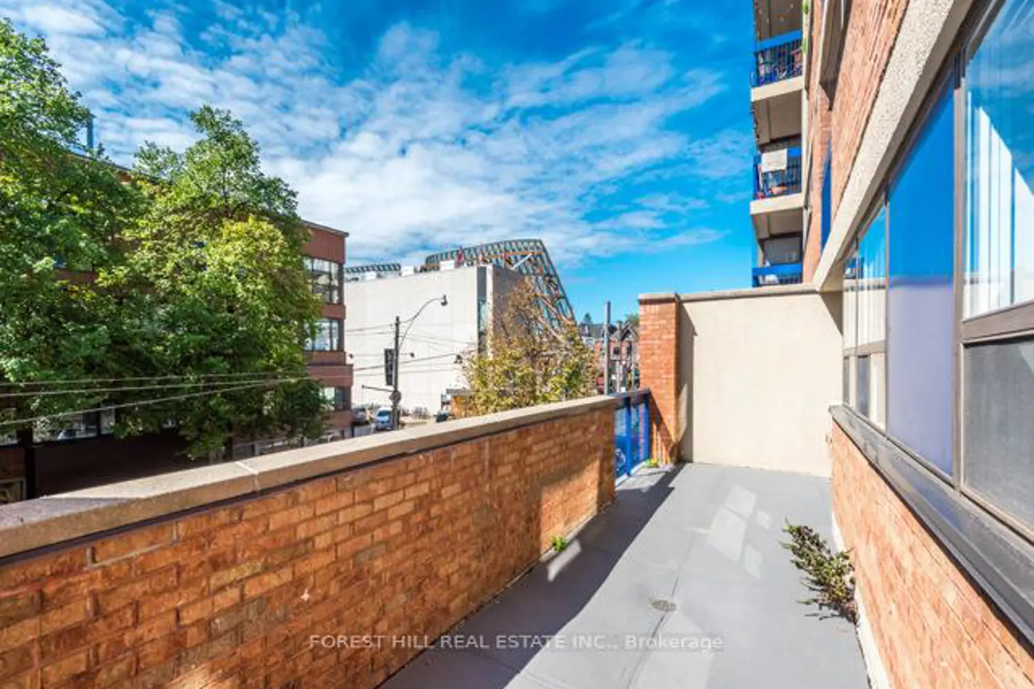 Additional image 19 of 105 Mccaul Street 202