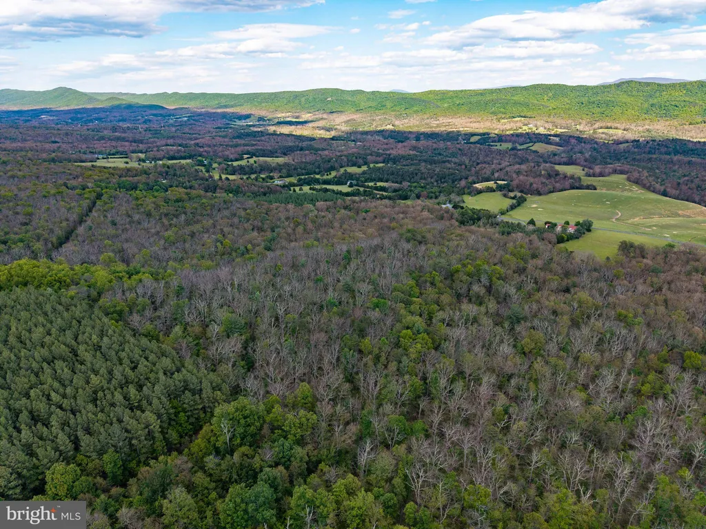 Additional image 40 of Boliver Road, Fort Valley, VA 22652
