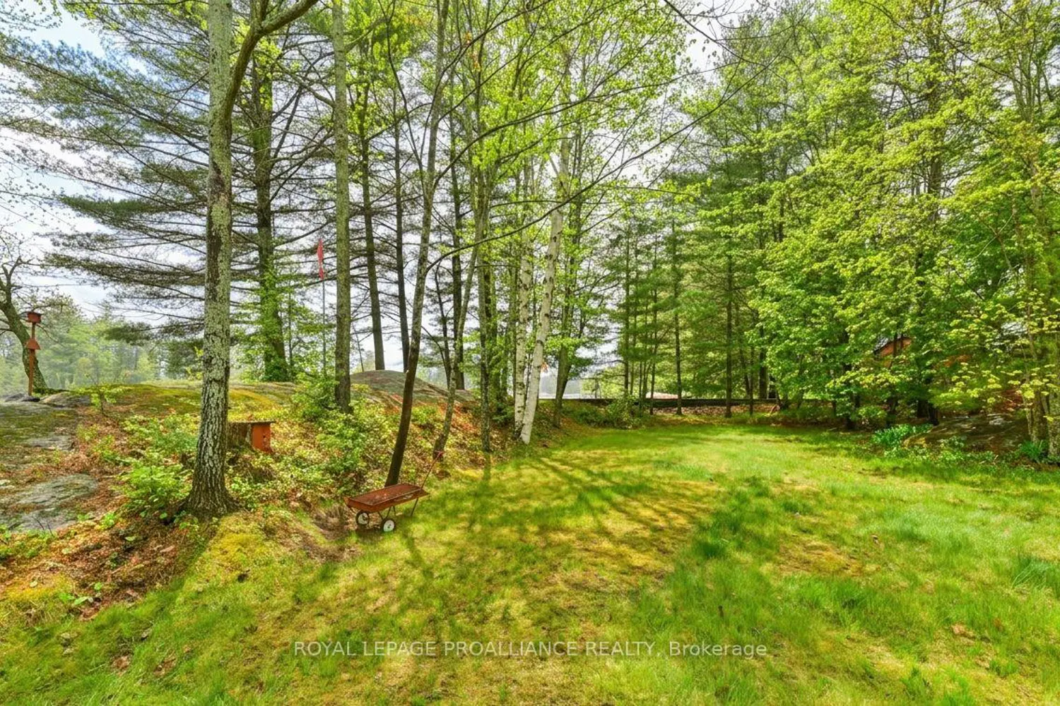 Additional image 17 of 1079 Lemke Lane