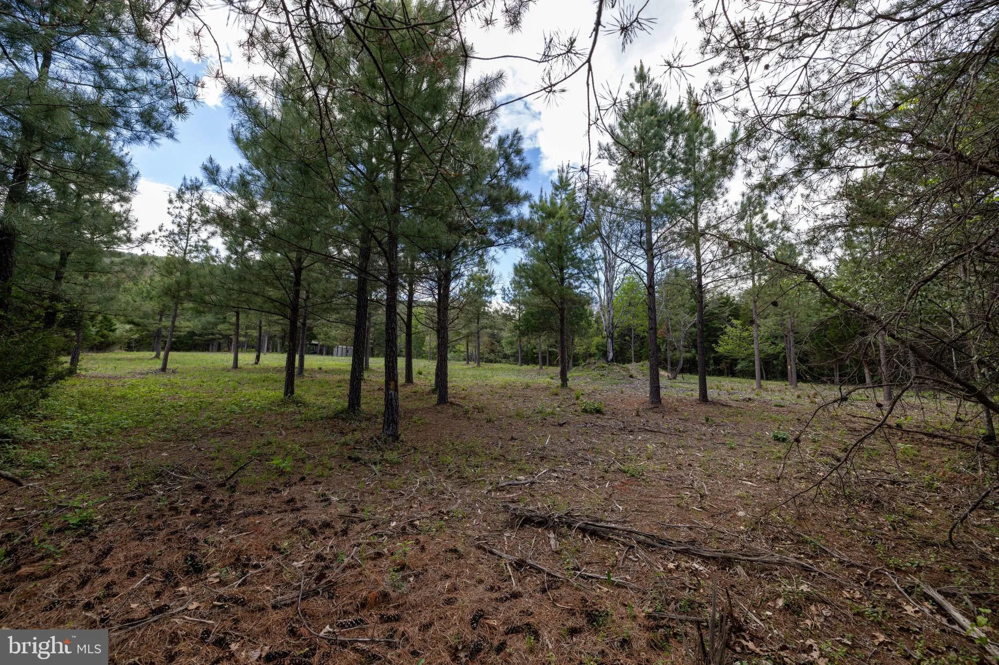 Additional image 68 of Boliver Road, Fort Valley, VA 22652